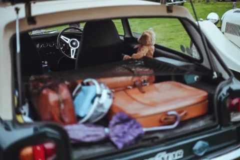 The open boot of an old car, packed with suitcases and a teddy bear