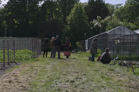 Neighbours chatting and working the beds of a community garden beside two greenhouses on a spring day