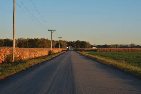 A long, empty country road between cornfields in the late afternoon sun