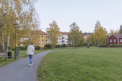 A woman in a cardigan walks alone along a park path in autumn, keys in her hand, flats and birch trees behind