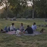 Five friends and a dog on picnic blankets in a park on a summer evening