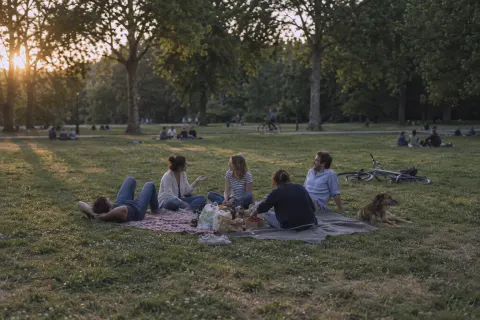 Five friends and a dog on picnic blankets in a park on a summer evening