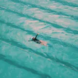 One swimmer doing lengths in a bright turquoise outdoor pool, seen from above