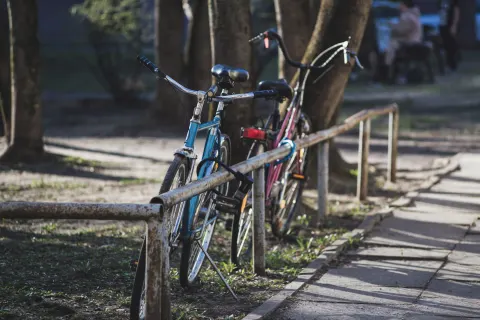 Two city bikes, a blue one and a pink one, locked side by side to an old railing by a park path in spring sun