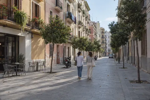 Two friends walking and talking down a sunny street lined with orange trees