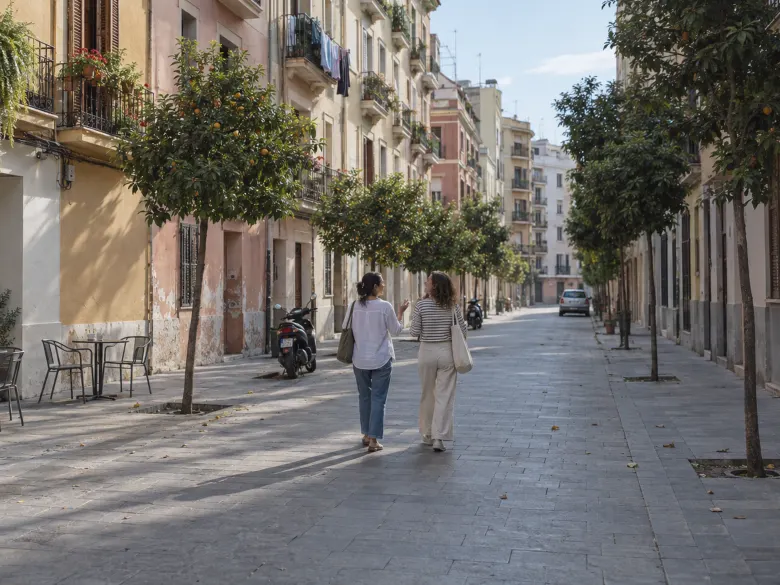 Two friends walking and talking down a sunny street lined with orange trees