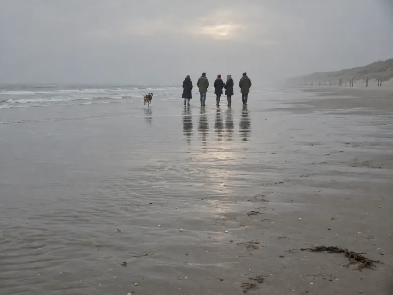 A small group of friends and a dog walking along a wide, grey winter beach